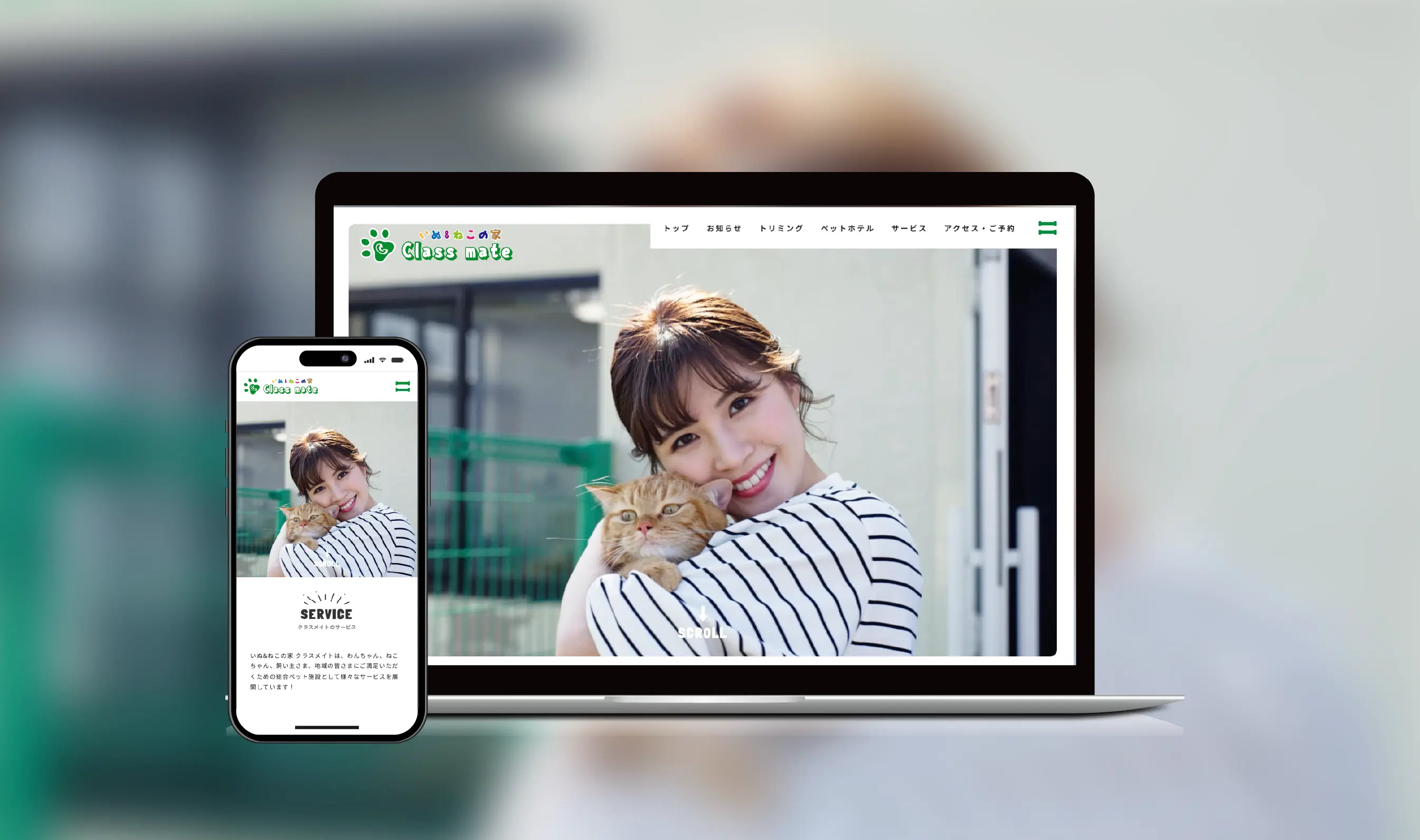 いぬ&ねこの家 クラスメイト WEBサイト